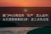 澳门PK10背后的‘灰产’怎么运作：从引流到收割的3步：这三点先记住