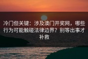 冷门但关键：涉及澳门开奖网，哪些行为可能触碰法律边界？别等出事才补救