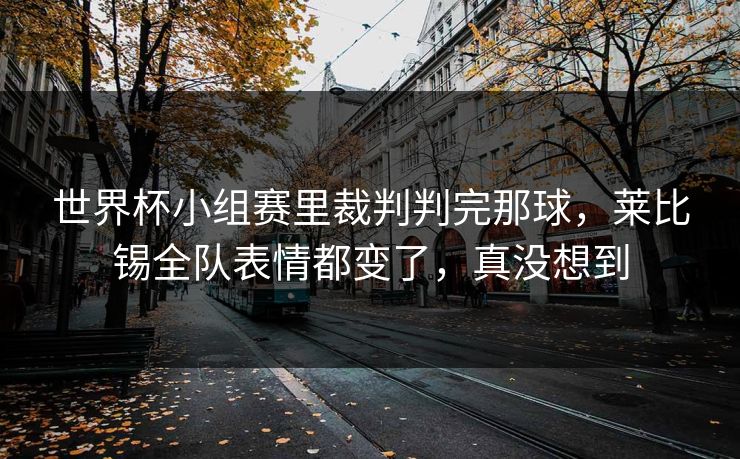 世界杯小组赛里裁判判完那球，莱比锡全队表情都变了，真没想到
