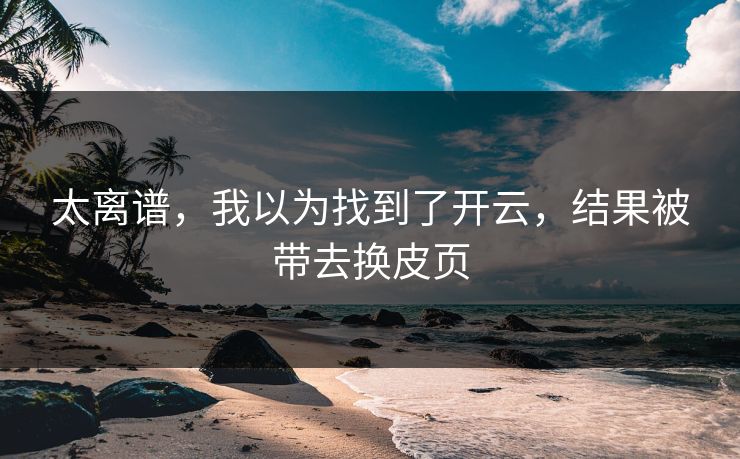 太离谱，我以为找到了开云，结果被带去换皮页